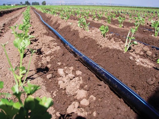 Drip Irrigation Systems Dos And Donts Fruit And Vegetable Magazinefruit And Vegetable Magazine